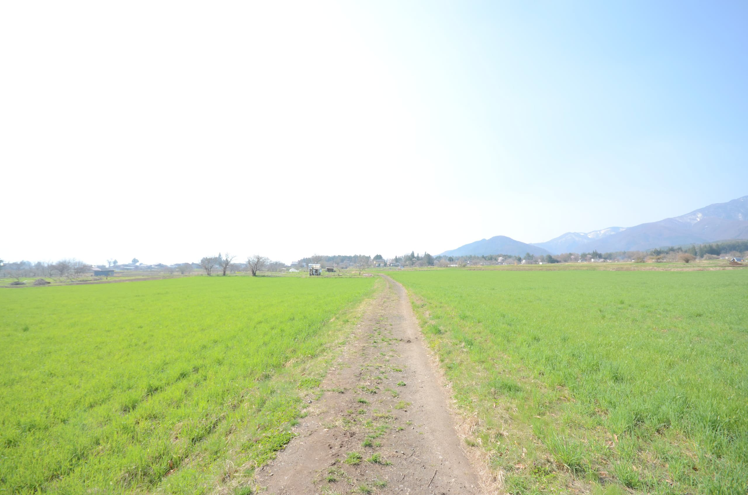 イラムカラプテ　自然農